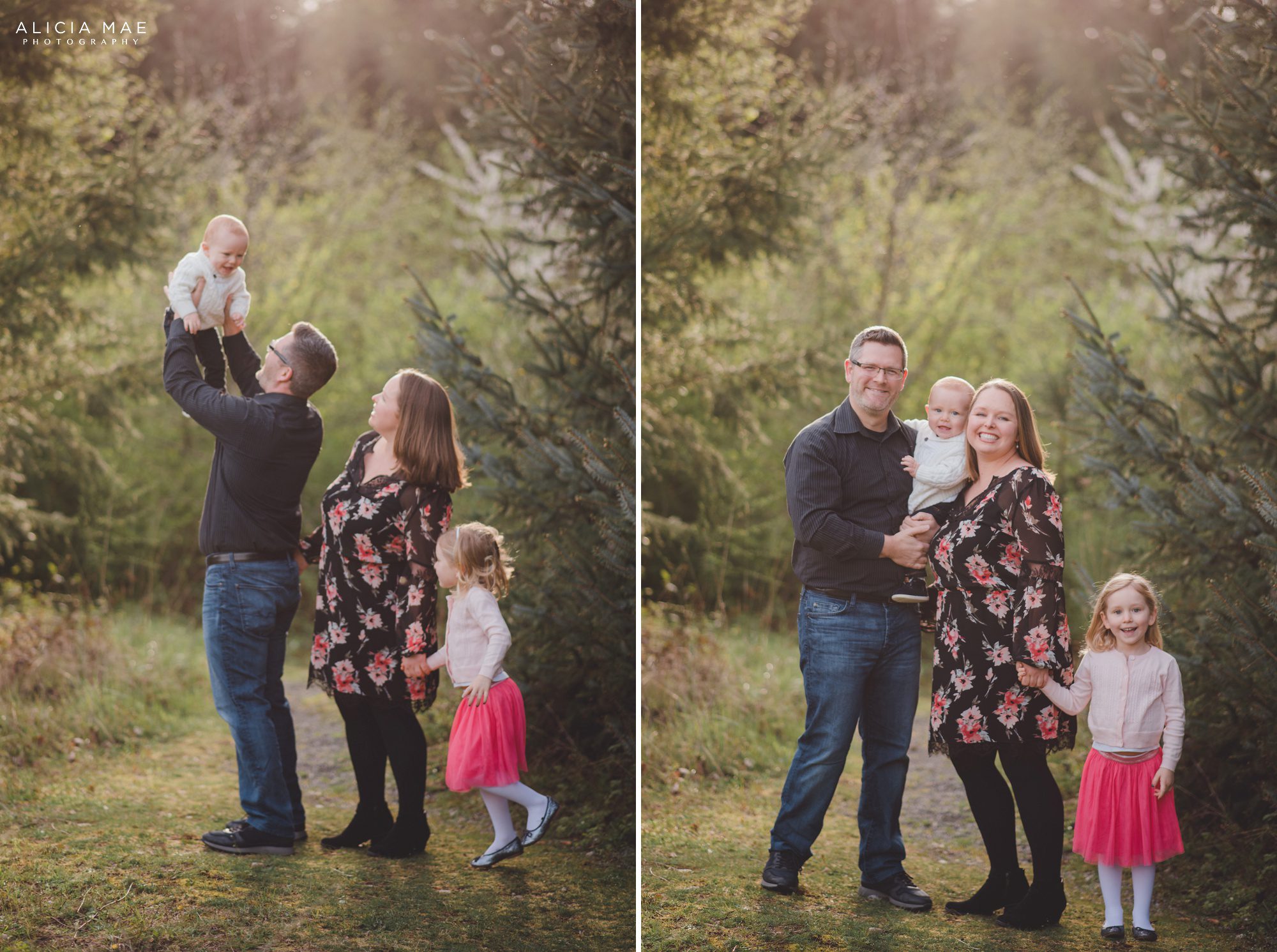 family portrait, family session, kids, babies, park, field, bothell, north creek, mill creek, golden hour